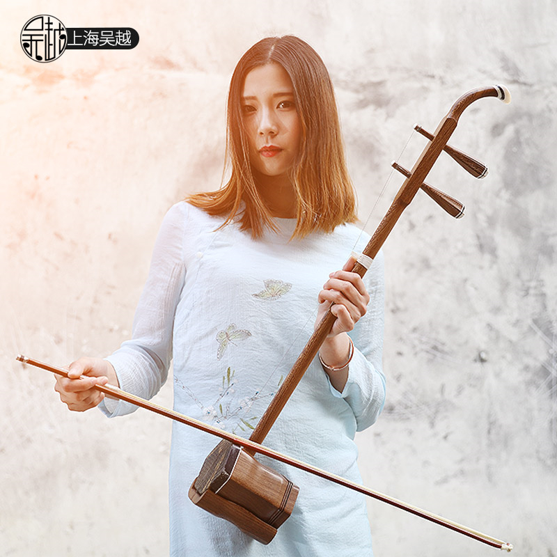 Musical Instrument Book - Chinees volkskoordinstrument, Huqin Flat Rod, professionele