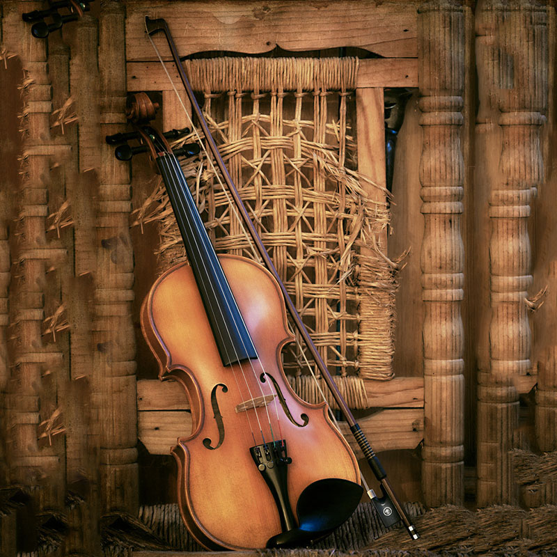 Strijkstok Vioolspeler Leerlin - Musical Instrument Shop recensie en prijs