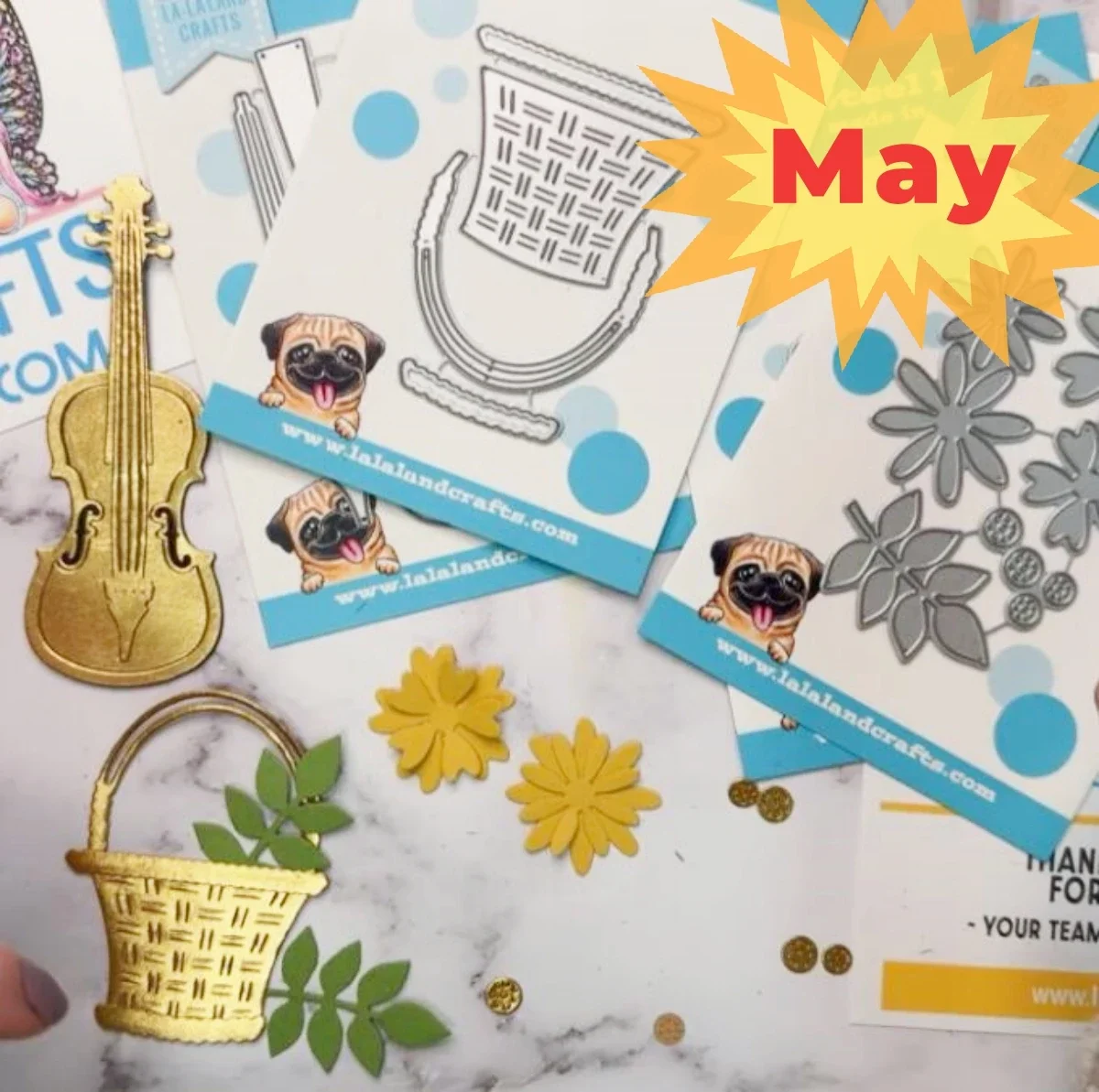 Boeken Dieren Muziekinstrument - Musical Instrument Book recensie en prijs